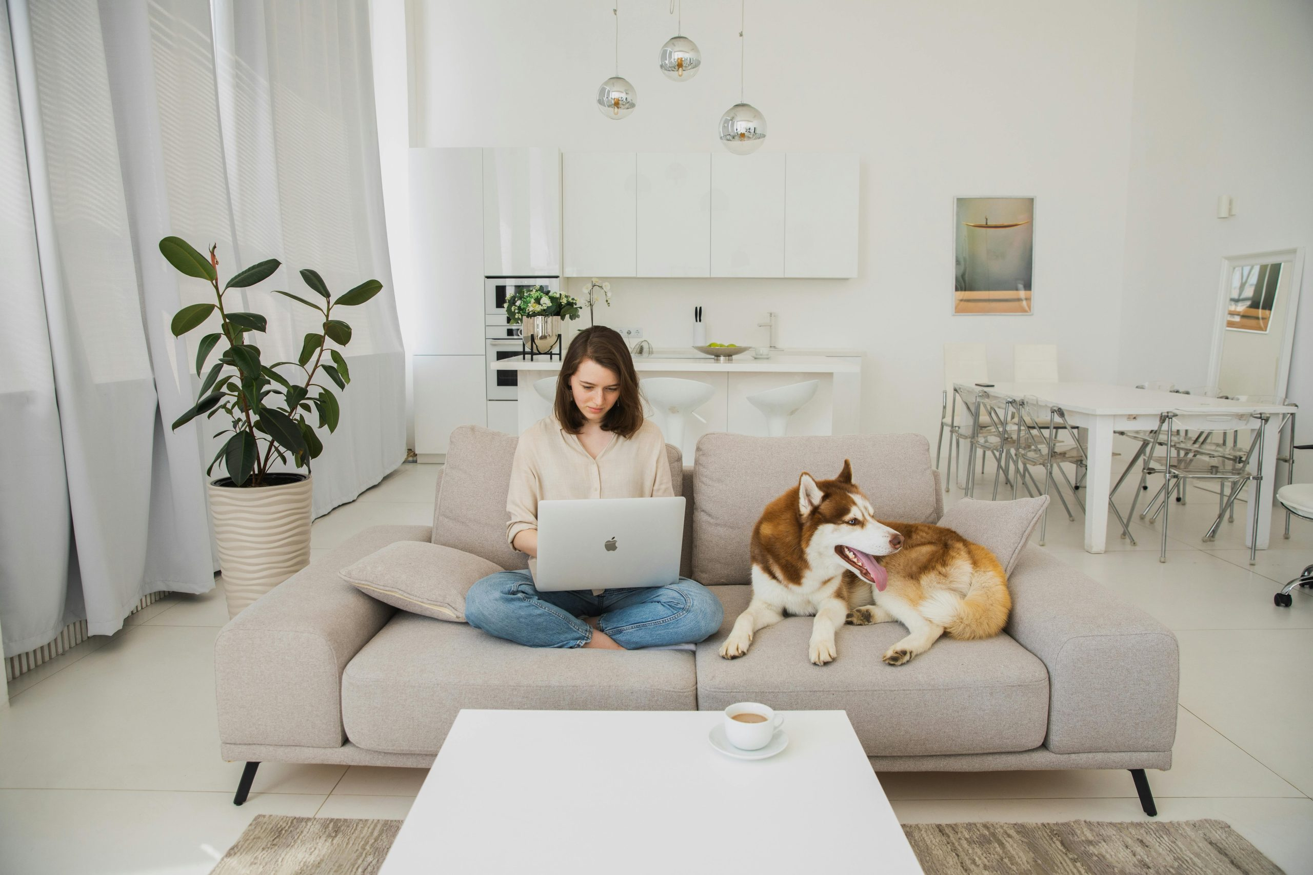 Wellness-Focused Home Design: Creating Healthier Living Spaces