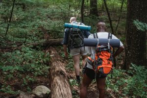 Cultural Immersion: Travel Beyond the Tourist Trail